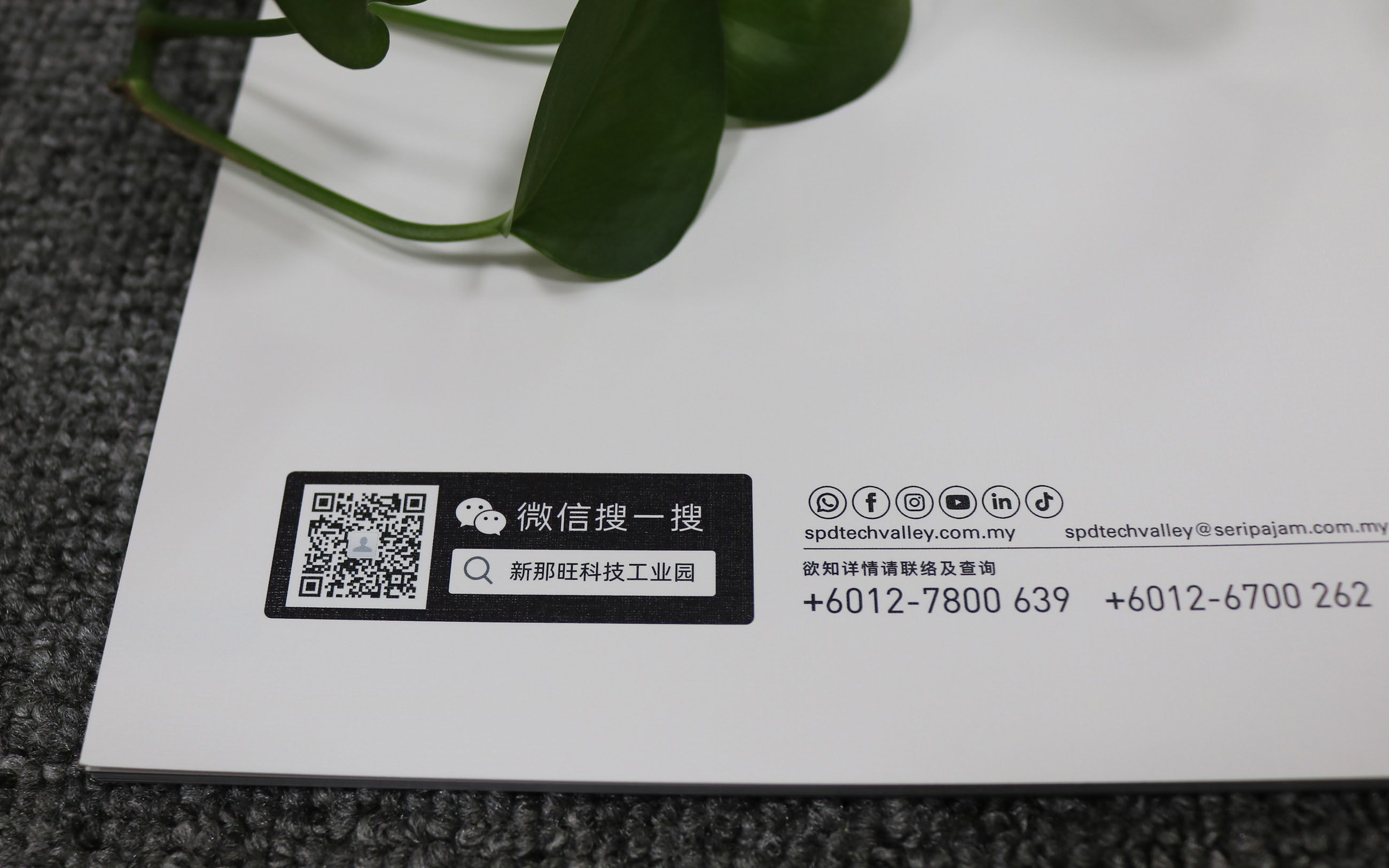 画册印刷
